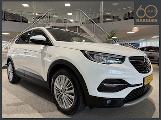 Opel Grandland X 1.2 Turbo Innovation, NL auto, Trekhaak, Camera, Navi