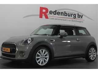 Mini Mini 1.5 - Bluetooth / Parksens. achter / Stoelverw.