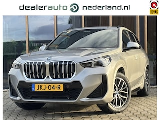 BMW X1 xDrive25e