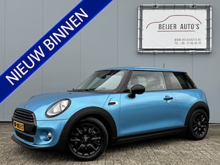 Mini Mini 1.2 Pepper Business Navi/Bluetooth/16inch/Cruise.