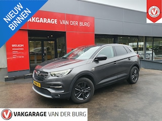 Opel Grandland X 1.2 Turbo Edition 2020 Camera Trekhaak Navi