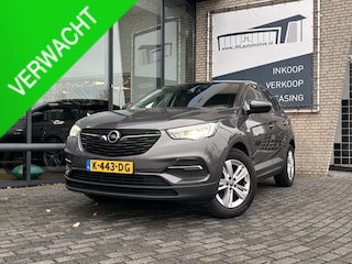 Opel Grandland X 1.2 Turbo Business*ACC*CRUISE*NAVI*HAAK*CARPLAY*