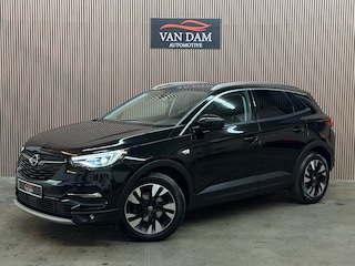 Opel Grandland X 1.2 Turbo Business Executive 2020 LED CAMERA LEDER