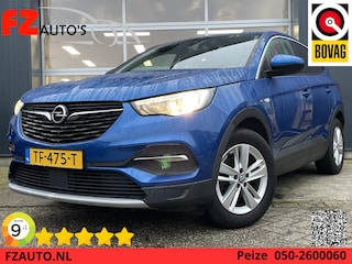Opel Grandland X 1.2 Turbo Business Executive - Navigatie - Trekhaak - Climate Control - Blind Spot