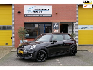 Mini Mini Electric Essential 33 kWh camera. stoelverwarming. half leder, nieuwstaat