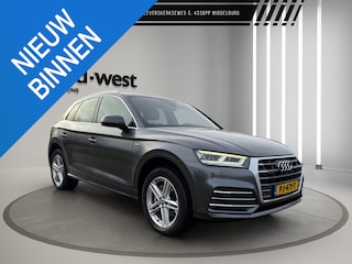 Audi Q5 2.0 TDI quattro S-Line Stoelverwarming Led