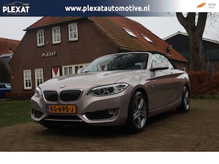 BMW 2-serie Cabrio 220d High Executive Aut. | Orig. NL | Full Led | Sportstoelen | Moonlight Silver | Hifi Sound | Stoelverwarming