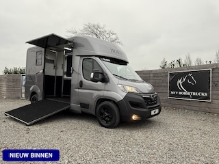 Opel Movano PAARDENWAGEN STX AKX 3XL | 2023 | HENGST | 3 ZITS | 51.000KM | LEER | B-RIJBEWIJS | BELGISCH KENTEKEN