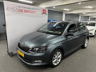 Skoda Fabia 1.2 TSI JOY met Cruise/Climat Control, LM-velgen en Parkeersensoren Achterzijde enz.