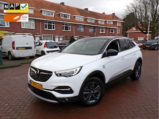 Opel Grandland X 1.2 Turbo Edition 2020 1e EIGENAAR GEHEEL DEALER ONDERHOUDEN....