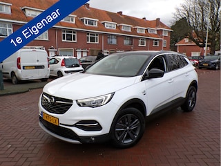Opel Grandland X 1.2 Turbo Edition 2020 1e EIGENAAR GEHEEL DEALER ONDERHOUDEN....