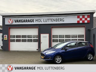 Ford Fiesta 1.0 80PK 5D S/S Style, STOELVERW. PDC, TREKHAAK, BLUETOOTH, ALL SEASON