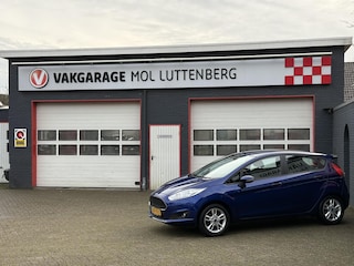 Ford Fiesta 1.0 80PK 5D S/S Style, STOELVERW. PDC, TREKHAAK, BLUETOOTH, ALL SEASON