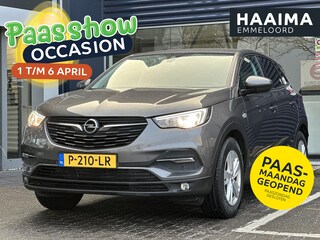 Opel Grandland X 1.2 Turbo Business Executive | Parkeersensoren | Apple Carplay/Android Auto | Climate Control | Lichtmetalen velgen | Cruise Control |