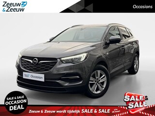 Opel Grandland X 1.2 Turbo Business + | Trekhaak | Climate Control | NAVI!