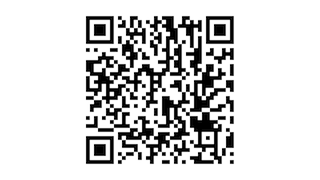 Ford Fiesta 1.0 Ecoboost 125pk Climate Cruise Soundsyst. Navi Apple Car 17LM