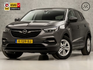 Opel Grandland X 1.2 Sportline (APPLE CARPLAY, CAMERA, DEALER ONDERHOUDEN, NAVIGATIE, CLIMATE, CRUISE, GETINT GLAS, SPORTSTOELEN, LM VELGEN, NIEUWSTAAT)