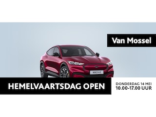 Ford Mustang Mach-E Standard RWD 75 kWh | Uit Voorraad Leverbaar | Inclusief 1000 Euro Ford Voordeel |