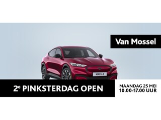 Ford Mustang Mach-E Standard RWD 75 kWh | Uit Voorraad Leverbaar | Inclusief 1000 Euro Ford Voordeel |
