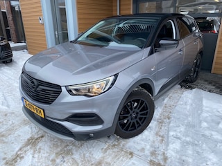 Opel Grandland X 1.2 Turbo Innovation | Automaat | Camera| All-season