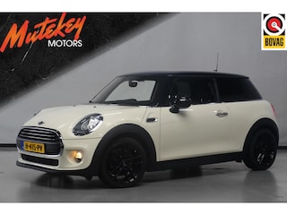 Mini Mini 1.2 Pepper Business