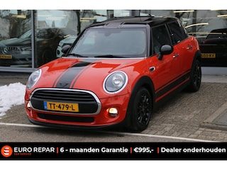 Mini Mini 1.5 Salt PANO-DAK NL-AUTO NAP!