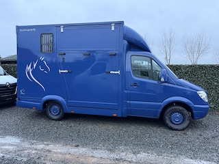 Mercedes-Benz Sprinter PAARDENWAGEN | HORSETRUCK | TVW 3XL | 2009 | CLASSIC | MANUEEL | 3-SEAT | 179.449KM | NL KENTEKEN