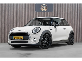 Mini Mini 1.2 Pepper PANO CRUISE STOELVERWARMING LED