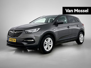 Opel Grandland X 1.2 Turbo Business + | Trekhaak | Navigatie | Climate control