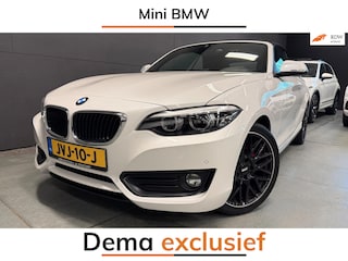 BMW 2-serie Cabrio 218i Executive AUTOMAAT/CRUISE/PDC/ECC/LED/STOELVERW/CAMERA///