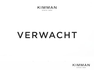 Land Rover Range Rover Sport P460e SE PHEV | Panorama dak | 22 Inch