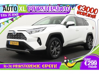 Toyota RAV4 2.5 Hybrid Business+ JBL 360* Camera Leder