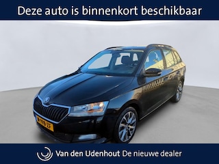 Skoda Fabia Combi 1.0 TSI Business Edition Navi via App Pdc Cruise Lm Velgen DAB Android/Carplay Motorkap Velg RV Scherm RA