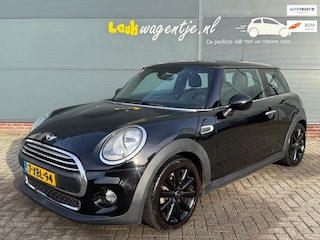 Mini Mini 1.2 Salt *navi *cruise *bluetooth *NL auto