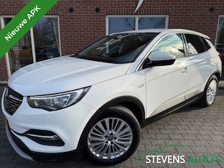 Opel Grandland X 1.2 Turbo Bus. Ex. TREKHAAK / CAMERA / 18 INCH / ELEK.ACKLEP / C