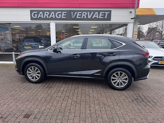Lexus NX 300h AWD Business Line
