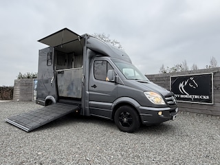 Mercedes-Benz Sprinter PAARDENWAGEN | HORSETRUCK | TVW | STALLION 3XL | 2012 | HENGST | 165PK | 3-SEAT | AUTOMAAT |  | NL KENTEKEN