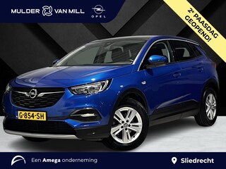Opel Grandland X Business Executive 1.2 Turbo 130pk | NAPPA LEDER | PANODAK | KEYLESS | CAMERA | WINTERPACK | NAVI | APPLE CARPLAY / ANDROID AUTO | ISOFIX |