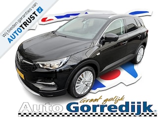 Opel Grandland X 1.2 Turbo Innovation PDC,STUUR VERW,18 INCH