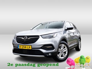 Opel Grandland X 1.2 Turbo Business Elegance 1e-Eig. & Keurig-Onderh. BOVAG-Garantie. NL-Auto