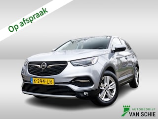 Opel Grandland X 1.2 Turbo Business Elegance 1e-Eig. & Keurig-Onderh. BOVAG-Garantie. NL-Auto