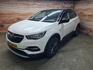 Opel Grandland X 1.2 Turbo 130pk Edition 2020 Camera Trekhaak all-in prijs + 12 mnd garantie!