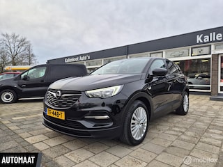 Opel Grandland X 1.2 Turbo Online Edition, D-Riem vervangen!