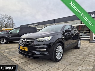 Opel Grandland X 1.2 Turbo Online Edition, D-Riem vervangen!