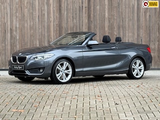 BMW 2-serie Cabrio 220i Executive / H&K / Stuurverwarming /