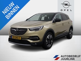 Opel Grandland X 1.2 Turbo Innovation Winterpakket/Leder/Trekhaak