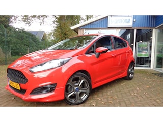 Ford Fiesta 1.0 EcoBoost Hot Hatch Tik in Motor
