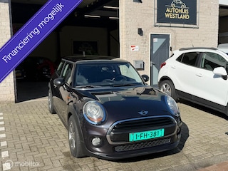 Mini Mini 1.2 Pepper Business