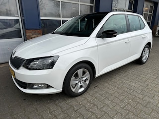 Skoda Fabia 1.2 TSI AMBITION BUSINESS. Automaat, Carplay, Navi  ALL IN prijs!
