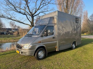 Mercedes-Benz Sprinter 308 CDI 2.2 355 Automaat Paardenwagen